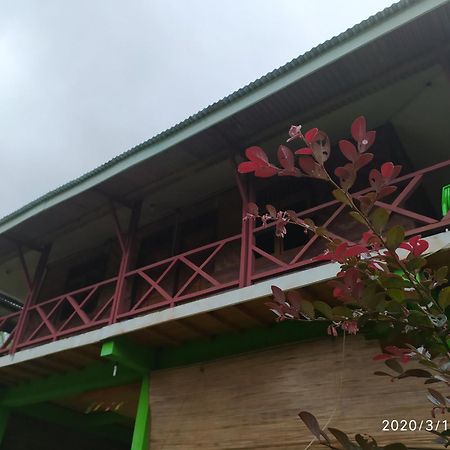 Green Forest Tangkahan 部屋 写真