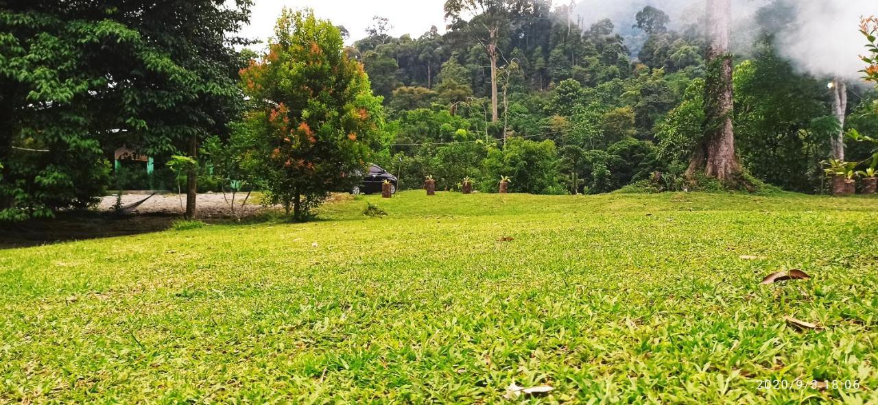 Green Forest Tangkahan エクステリア 写真