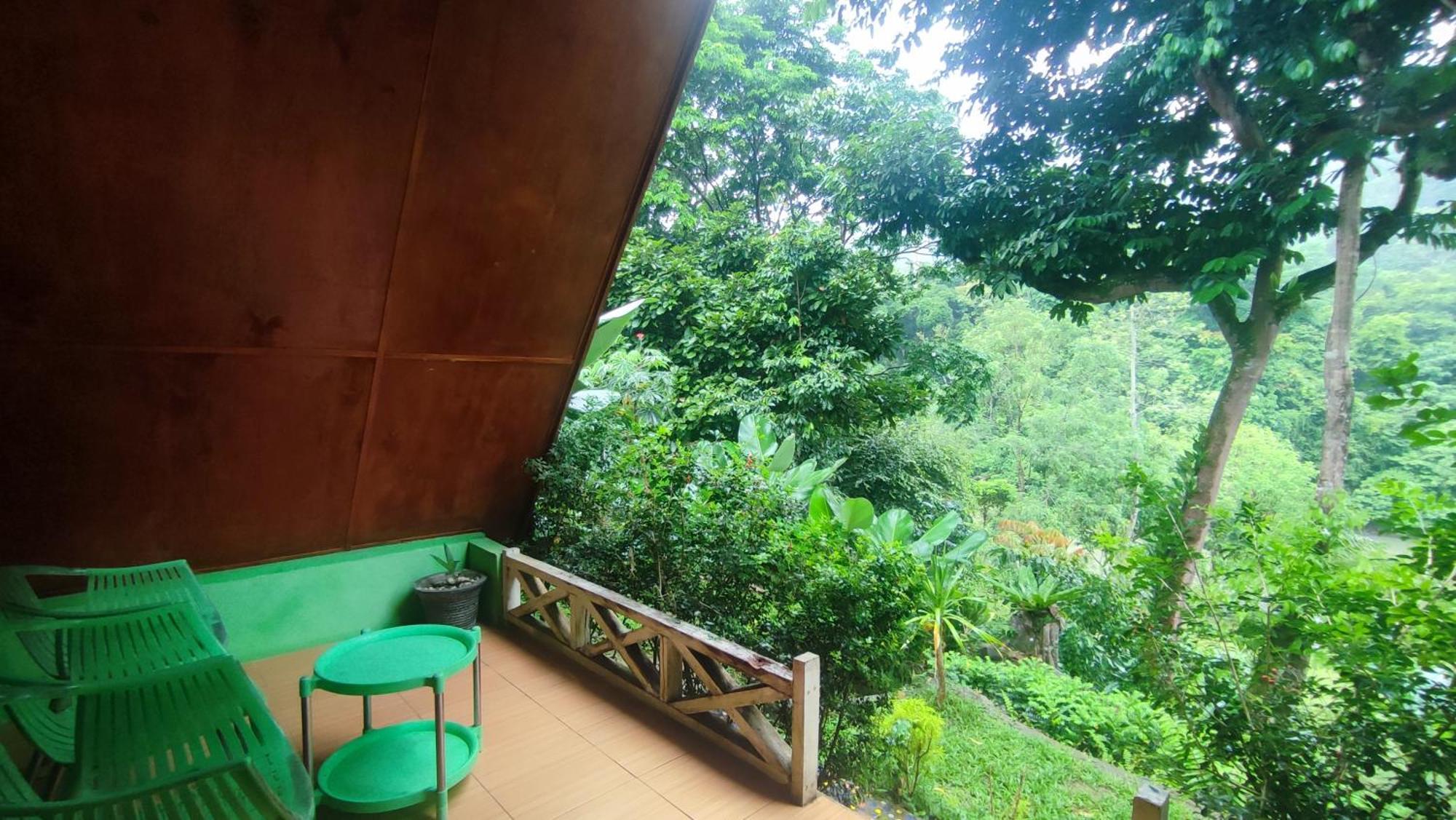 Green Forest Tangkahan 部屋 写真