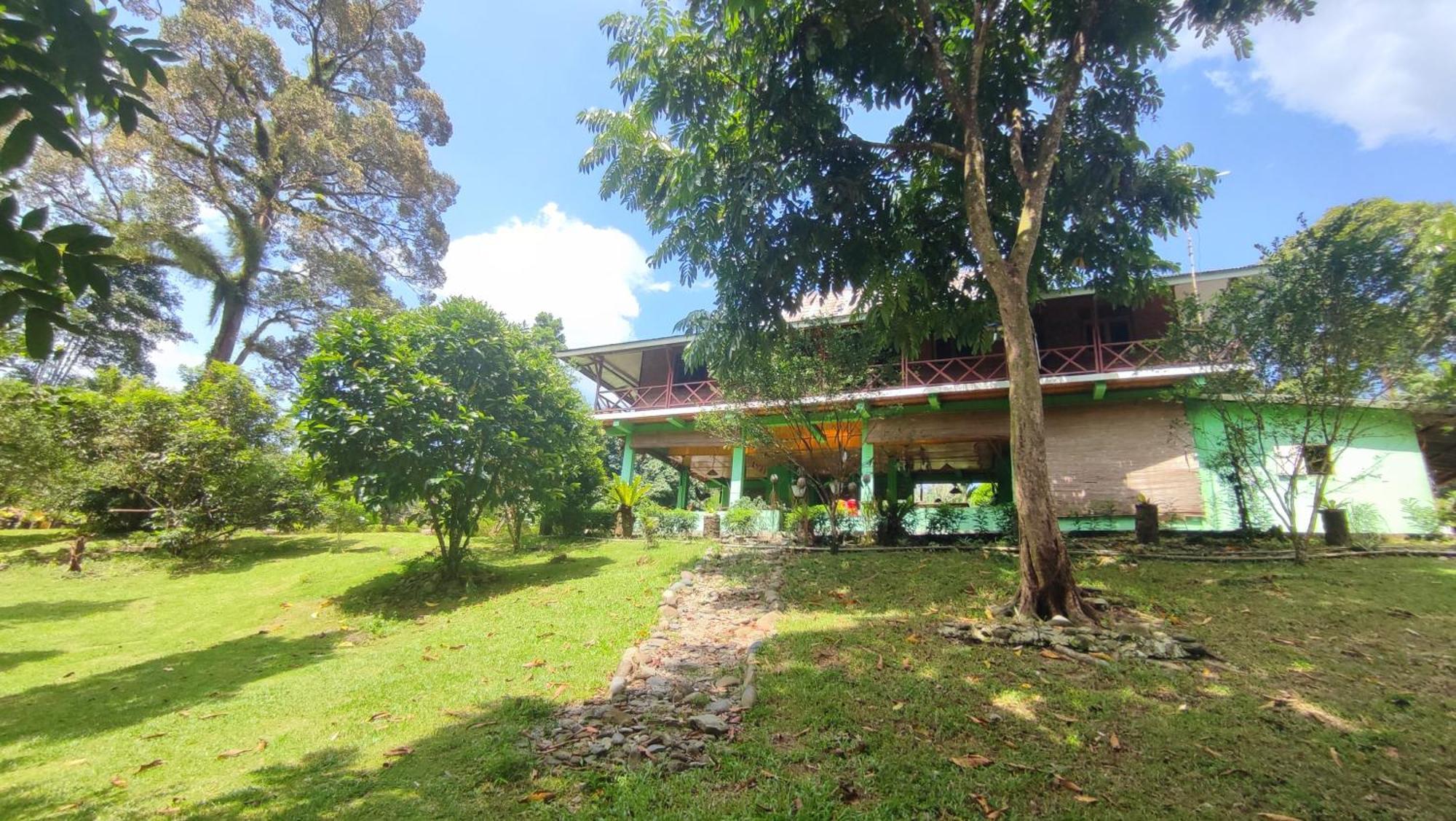 Green Forest Tangkahan 部屋 写真