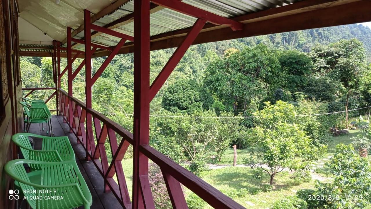 Green Forest Tangkahan 部屋 写真