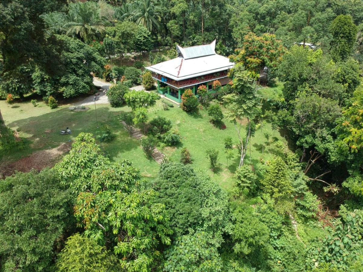 Green Forest Tangkahan エクステリア 写真