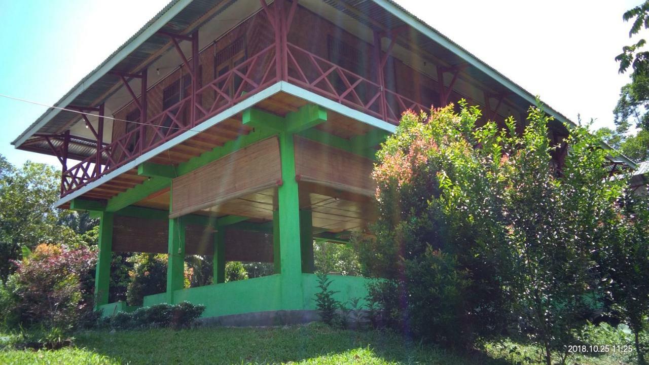 Green Forest Tangkahan エクステリア 写真