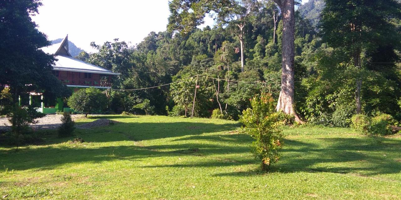 Green Forest Tangkahan エクステリア 写真